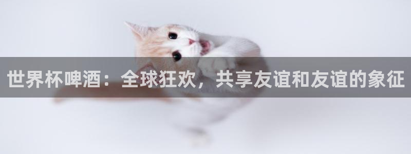 女足世界杯赛程：世界杯啤酒：全球狂欢，共享友谊和友谊的象征