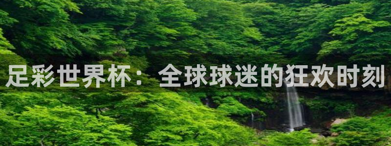 足球世界杯时间：足彩世界杯：全球球迷的狂欢时刻