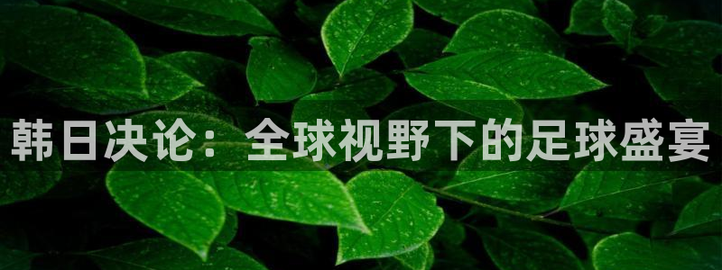 亚洲区世界杯预选赛：韩日决论：全球视野下的足球盛宴