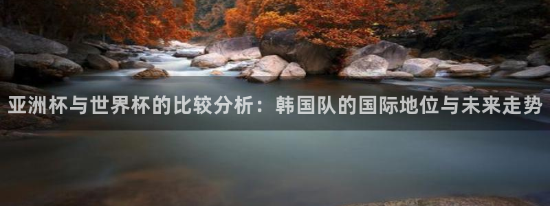 世界杯视频：亚洲杯与世界杯的比较分析：韩国队的国际地位与未来走势