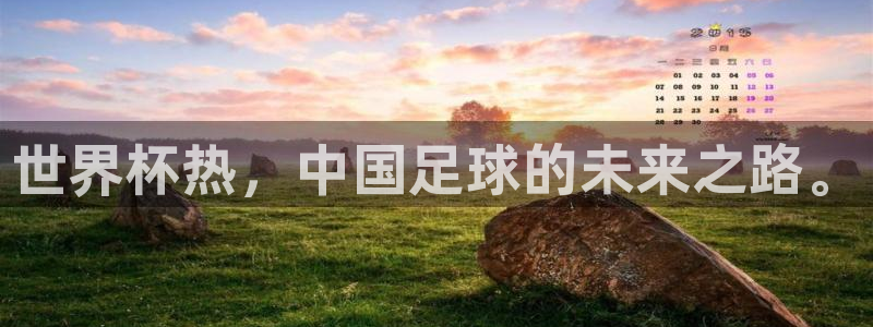 2026年世界杯：世界杯热，中国足球的未来之路。
