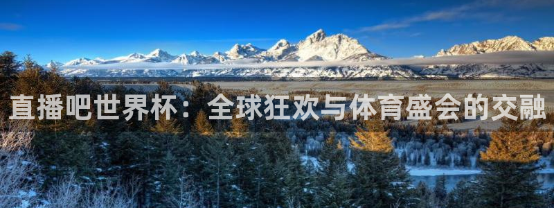 2026年世界杯赛程时间表格：直播吧世界杯：全球狂欢与体育盛会的交融