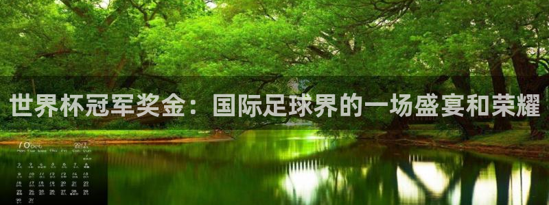 2026足球世界杯：世界杯冠军奖金：国际足球界的一场盛宴和荣耀