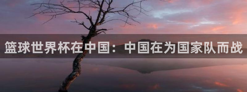 亚洲杯足球：篮球世界杯在中国：中国在为国家队而战