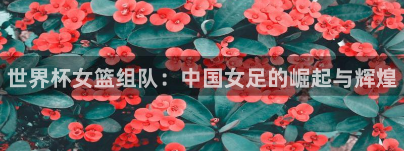 足球世界杯2026年赛程时间表：世界杯女篮组队：中国女足的崛起与辉煌
