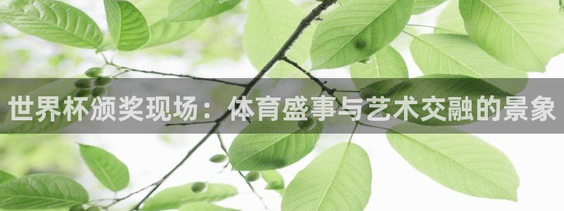 2026世预赛赛程表：世界杯颁奖现场：体育盛事与艺术交融的景象